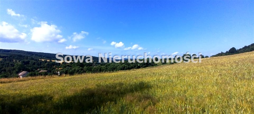 Pusta działka Dziećmorowice