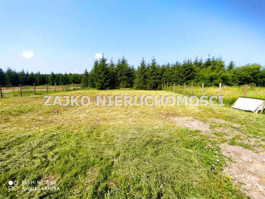 Działka Płociczno-Tartak