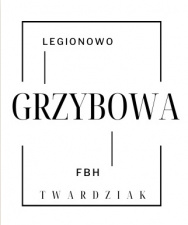 Firma Budowlano-Handlowa Emilian Twardziak