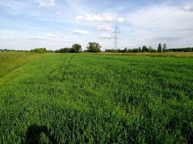 Działka budowlana Chylice