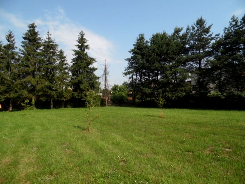 Działka budowlana Rybnik