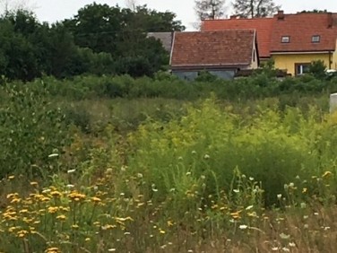 Działka Stara Dąbrowa