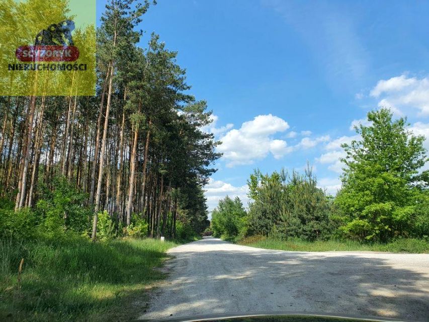 Działka budowlana Piekoszów