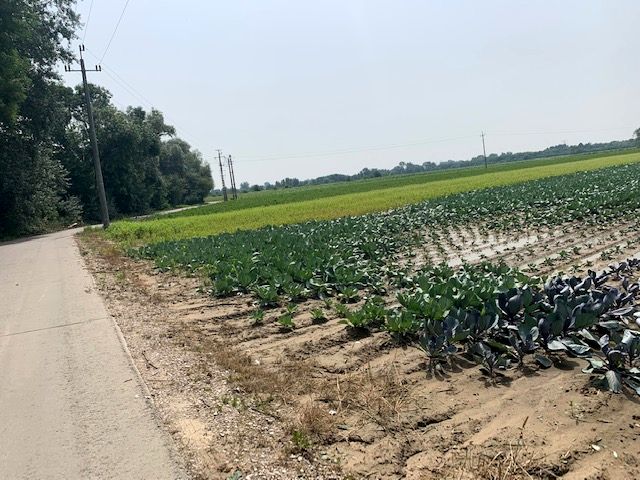 Działka inna Warszawa