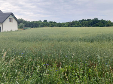 Działka Maliniak