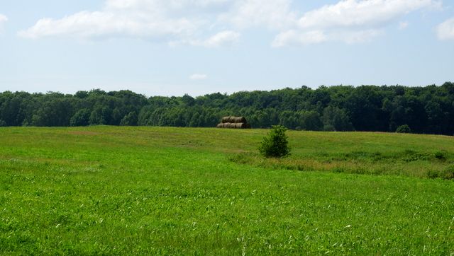 Działka rolna Bobolice