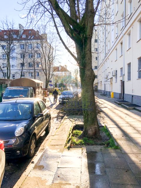 Mieszkanie blok mieszkalny wynajem