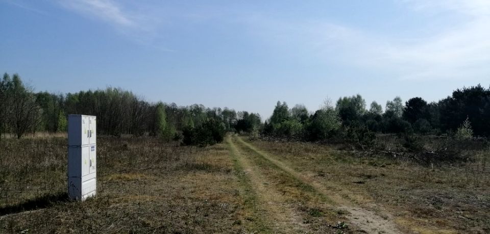 Działka przy lesie