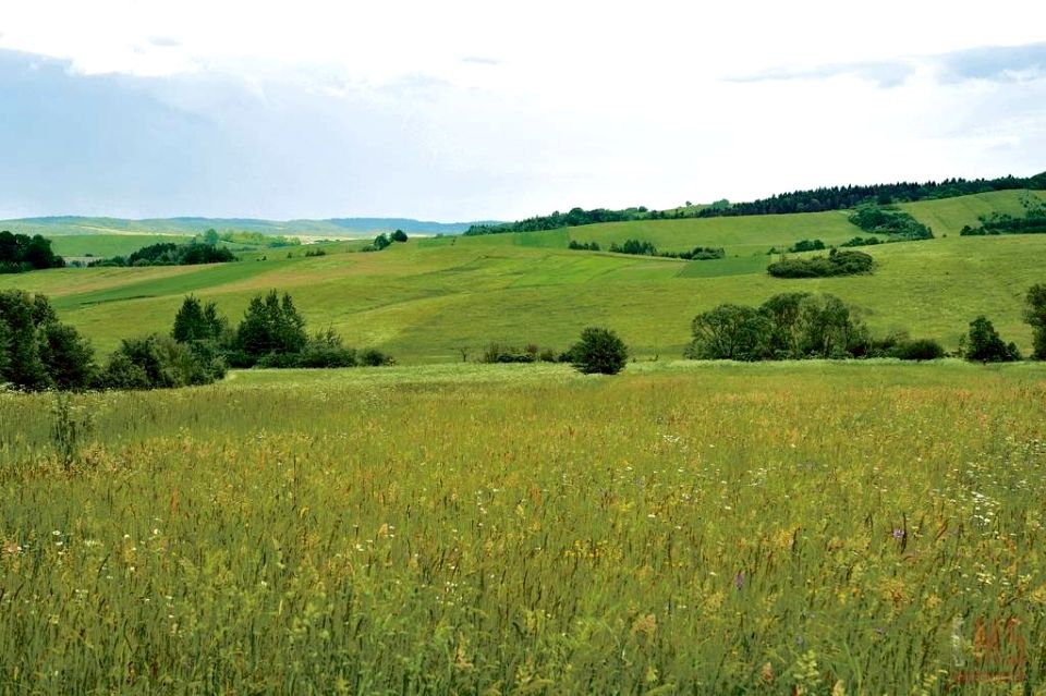 Działka budowlana Iwanówka