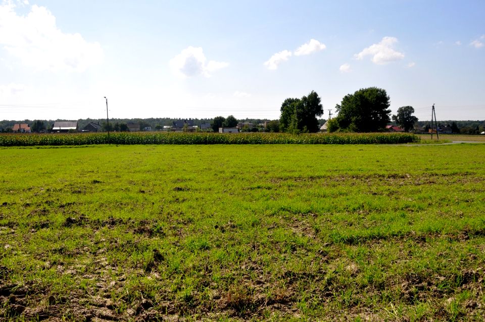 Pusta działka Bieruń