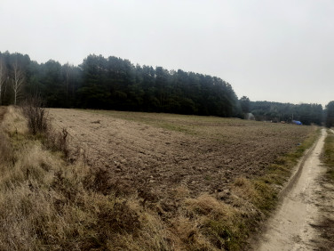 Działka rolna Klukowo
