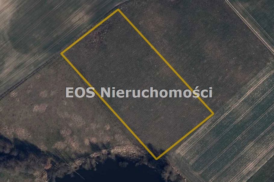 Działka rolna Kolsk