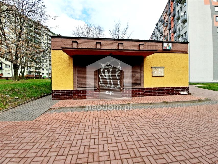 Lokal Kielce