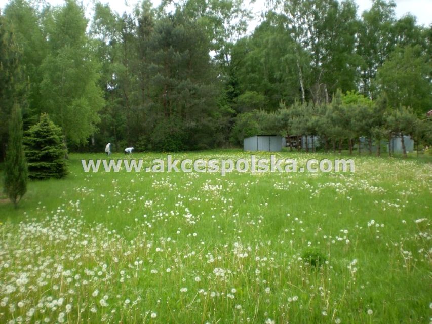 Działka budowlana Ruda