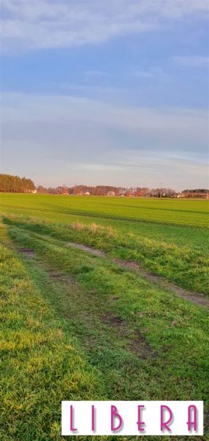 Działka Szkocja