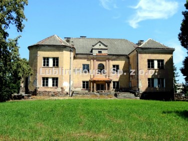 Lokal Kazimierz Dolny