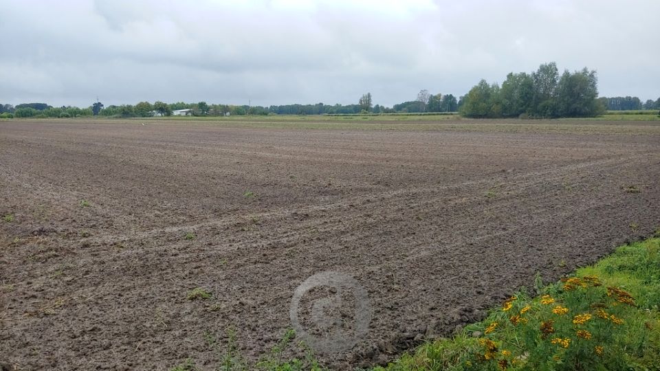 Działka rolna Gorzów Wielkopolski