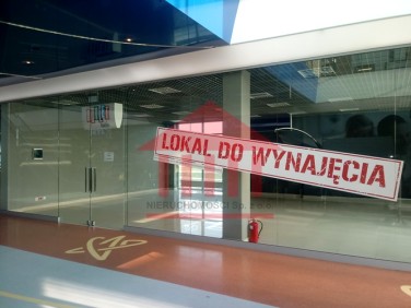Lokal Legnica