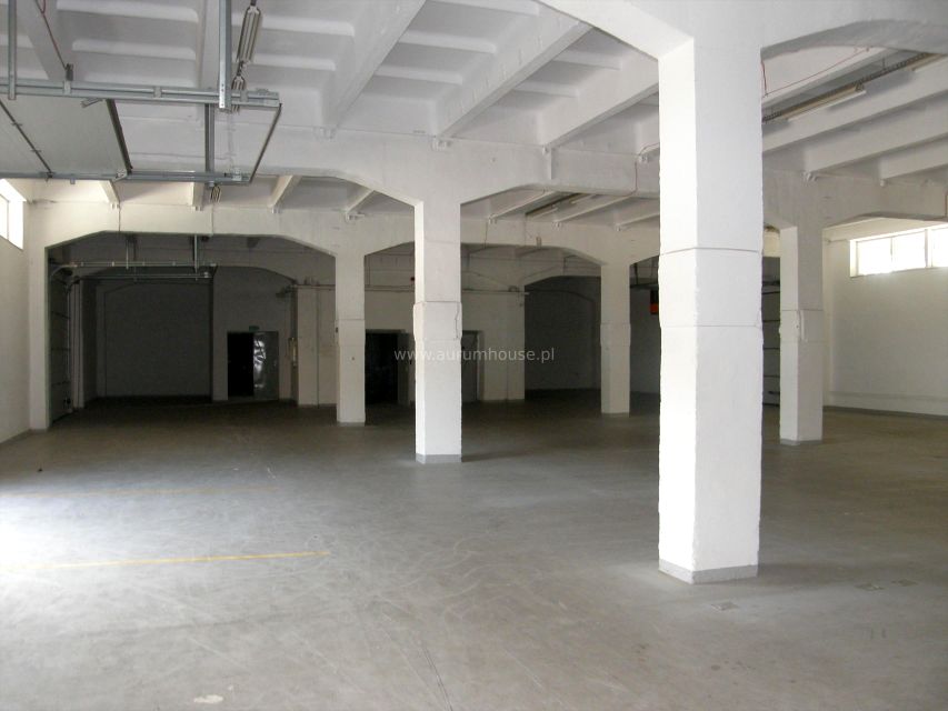 Lokal Kraków wynajem