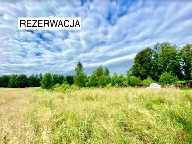 Działka Ogóły