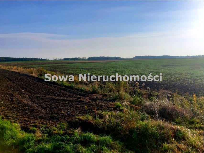 Działka inwestycyjna Świebodzice