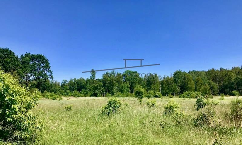 Działka siedliskowa Wiskitki