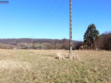 Działka budowlana Zagórze Śląskie