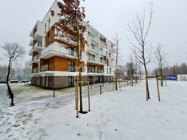 Mieszkanie blok mieszkalny Czarnochowice