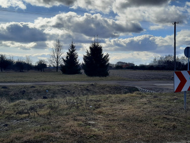 Działka Kampinos
