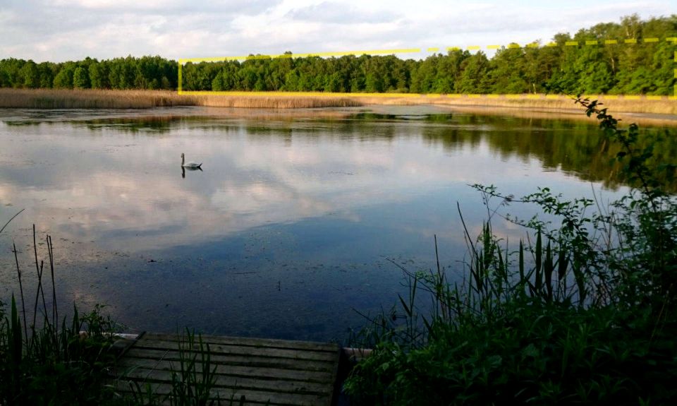 Działka leśna Studzionka