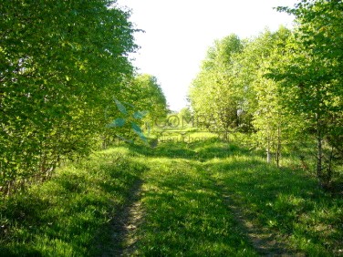 Działka budowlana Trzcianka