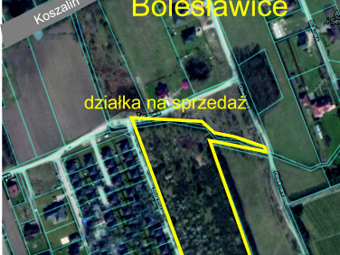 Działka budowlana Bolesławice sprzedam