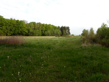 Działka budowlano-rolna Samorządki-Kolonia