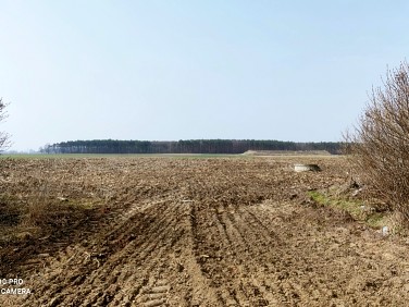 Działka rolna Radojewice