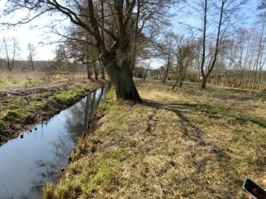 Działka budowlana Szczecin