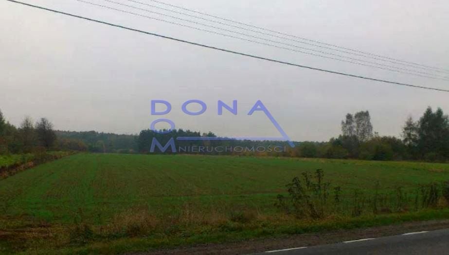 Zdjęcie 2