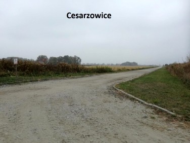 Działka budowlana Cesarzowice