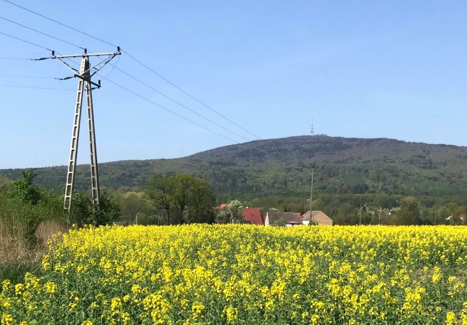 Działka budowlana Księginice Małe