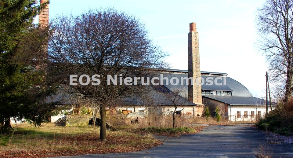 Budynek użytkowy Trąbki sprzedaż