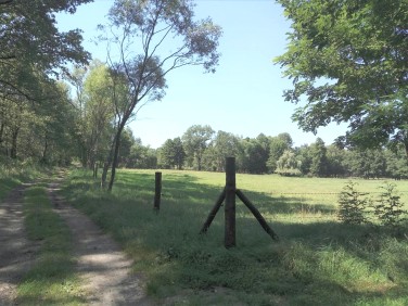 Działka rolna Biedaszków Mały