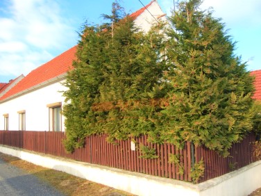 Dom Staniszcze Małe