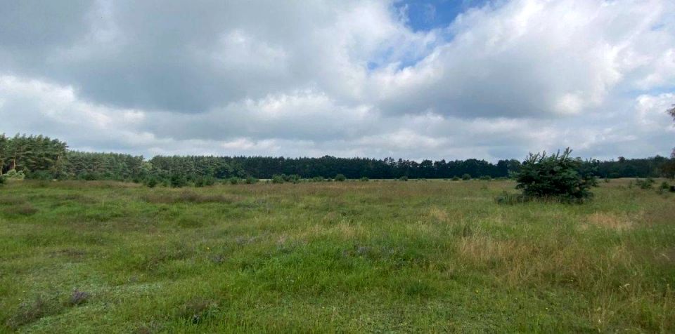 Działka budowlana Trachy