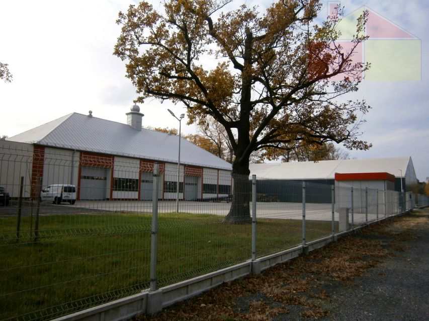 Lokal Żary