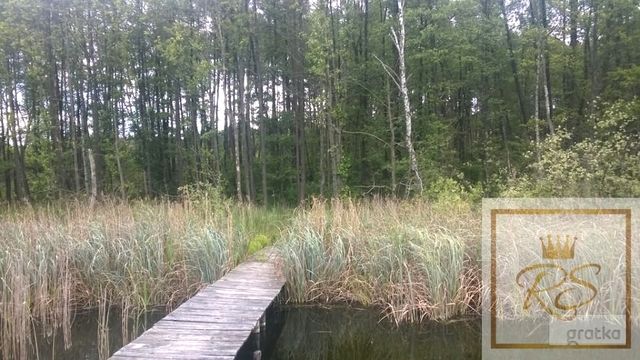 Działka siedliskowa Pąchy