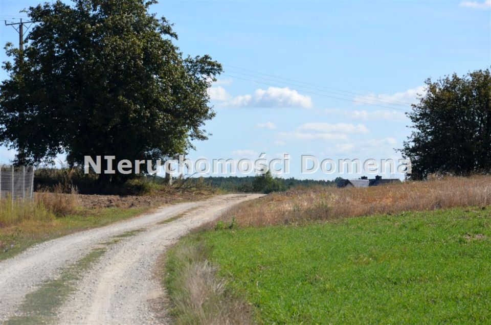 Pusta działka Pukinin