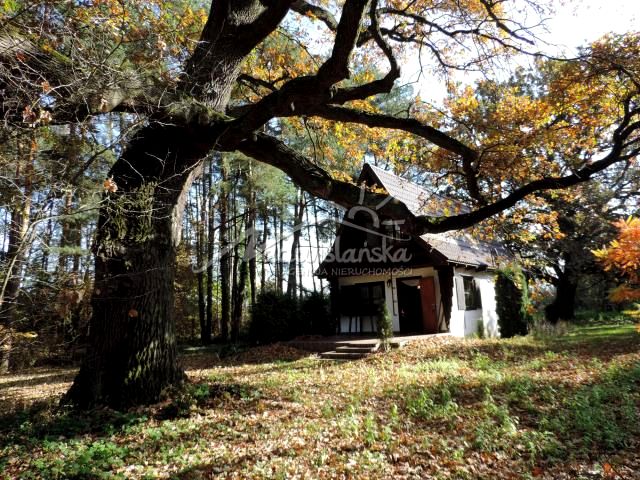 Działka rekreacyjna Kępa Niemojewska