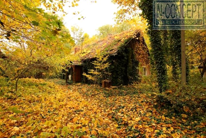 Działka Podkowa Leśna