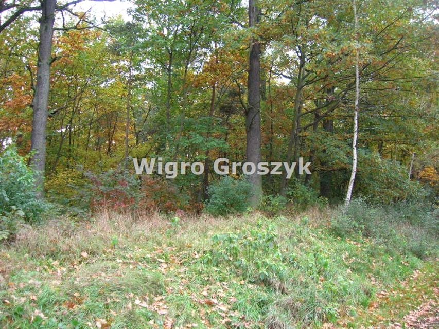Zdjęcie 2
