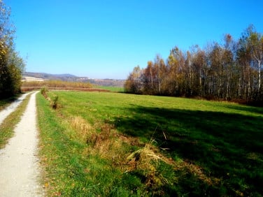 Działka rolna Glinik Górny