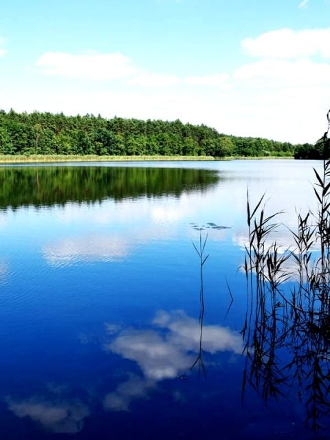 Działka siedliskowa Wałcz